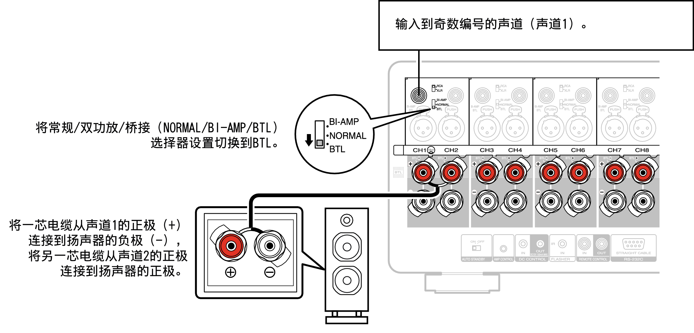 Conne SP BLT AMP10